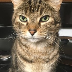 Meet your Posher, Lisa